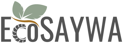 Ecosaywa